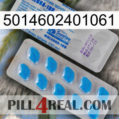 5014602401061 new15